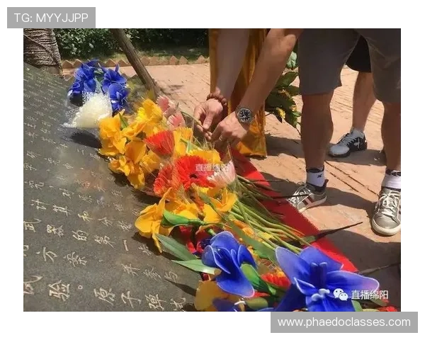 上海羽毛球队精英赛背后的拼搏故事与奋斗历程探秘