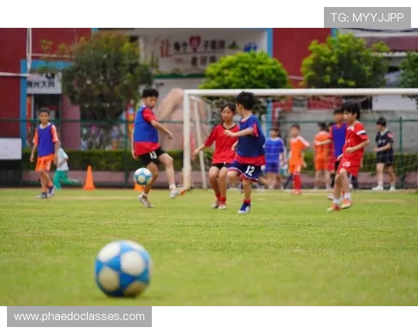 五岁足球明星现状揭秘:他们的未来与发展潜力分析 五岁足球明星现状揭秘:他们的未来与发展潜力分析