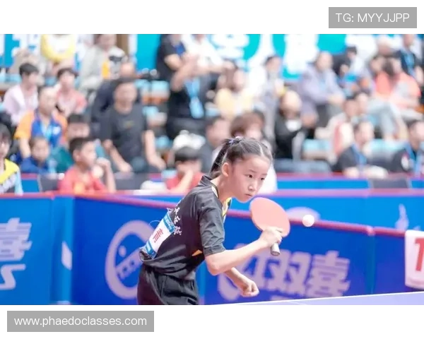 全国锦标赛回顾:西安乒乓球队的精彩表现与未来展望 全国锦标赛回顾:西安乒乓球队的精彩表现与未来展望